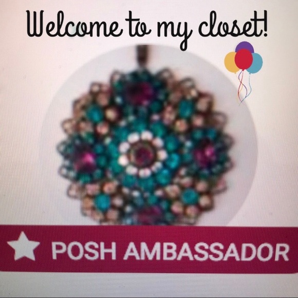 Posh Ambassador. - Picture 1 of 1